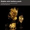 20 Pack Fairy Lights Battery Operated,3.3ft 20 LED Silver Wire Warm White Firefly Waterproof Mini Led String Lights for Party Crafts Wedding Decor